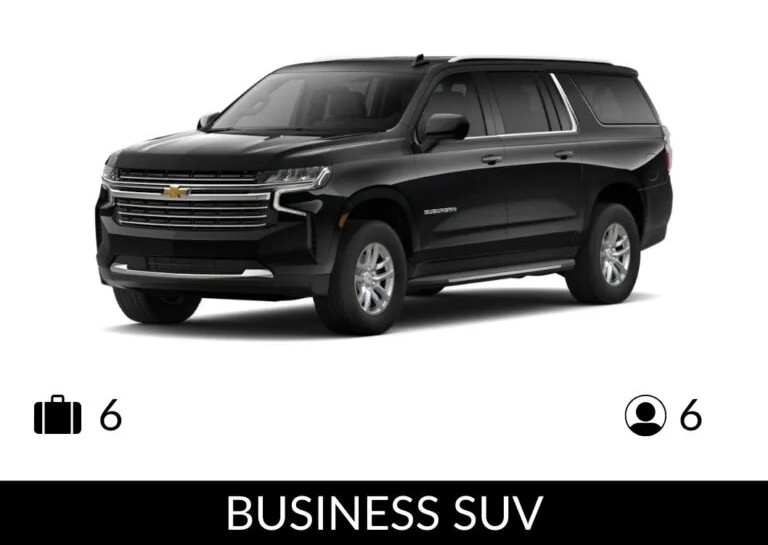 Business-suv-768x644-1.jpg